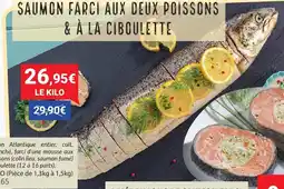 Gel 2000 Saumon farci aux deux poissons & à la ciboulette offre