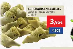 Gel 2000 Artichauts en lamelles offre