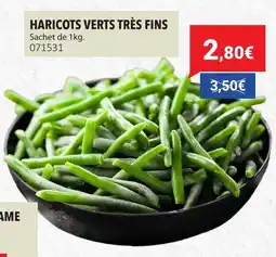 Gel 2000 Haricots verts très fins offre