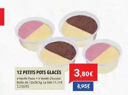 Gel 2000 12 petits pots glacés offre