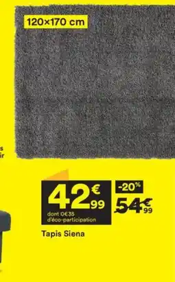 BUT Tapis Siena offre