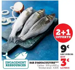 Hyper U Bar d'aquaculture offre