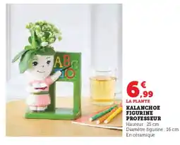 Hyper U Kalanchoe figurine professeur offre