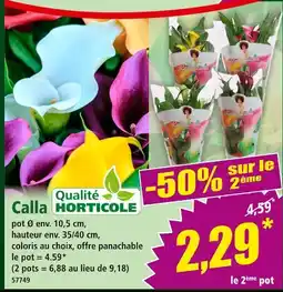 Norma QUALITÉ HORTICOLE Calla offre