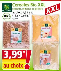 Norma BIO SONNE Céréales bio xxl épeautre, couscous ou polenta offre