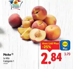 Lidl Pêche offre