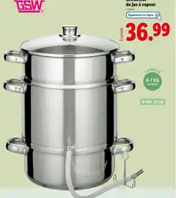 Lidl GSW Extracteur de jus à vapeur offre