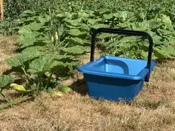 Gamm vert Panier de récolte offre