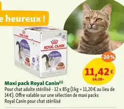 Maxi Zoo ROYAL CANIN Maxi pack royal canin offre