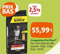 Maxi Zoo Purina Croquettes offre