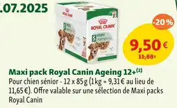 Maxi Zoo ROYAL CANIN Maxi pack ageing 12+ offre