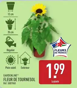 ALDI GARDENLINE Fleur de tournesol offre