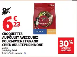 Auchan Supermarché PURINA ONE Croquettes au poulet avec du riz pour moyen et grand chien adulte offre