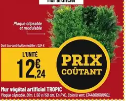 Tridôme TROPIC Mur végétal artificiel offre