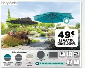 Centrakor Le parasol droit loompa offre