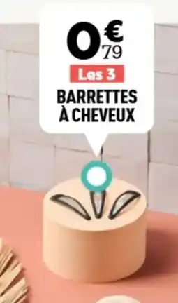 Centrakor Barrettes à cheveux offre