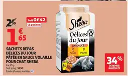Auchan Sachets Repas Délices du Jour offre