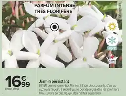 U Express Findus - epinards a la creme fraiche surgeles offre