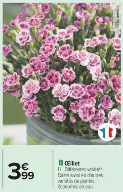 U Express Danone - creme dessert danette pop offre