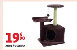 Auchan Arbre à chat riga offre