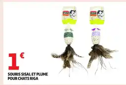 Auchan Souris sisal et plume pour chats offre