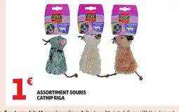 Auchan Assortiment souris catnip riga offre