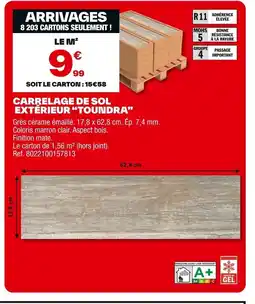 Brico Dépôt Carrelage de sol extérieur toundra offre