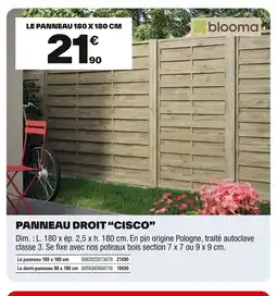 Brico Dépôt Panneau droit cisco offre