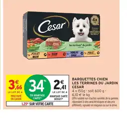 Intermarché CESAR Barquettes chien les terrines du jardin offre