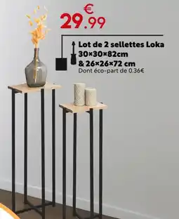 Maxi Bazar Lot de 2 sellettes Loka offre