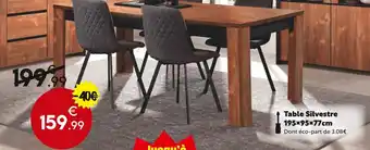 Maxi Bazar Table Silvestre offre