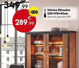 Maxi Bazar Vitrine Silvestre offre