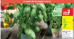 Cora x Carrefour Basilic bio en pot. offre