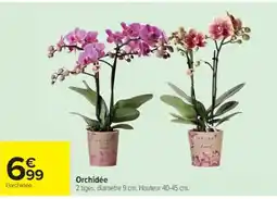 Cora x Carrefour Orchidée offre