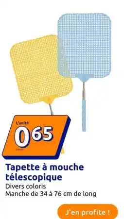 Action Tapette à mouche télescopique offre