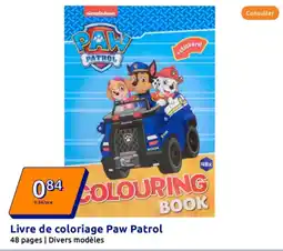 Action Livre de coloriage paw patrol offre