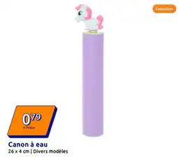 Action Canon à eau offre