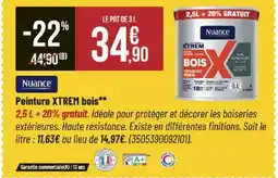 Bricorama NUANCE Peinture XTREM bois offre