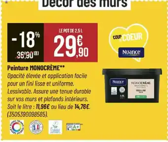 Bricorama MONOCRÈME Peinture offre