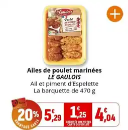 Coccinelle Supermarché LE GAULOIS Ailes de poulet marinées offre