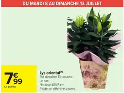 Carrefour Market Lys oriental offre