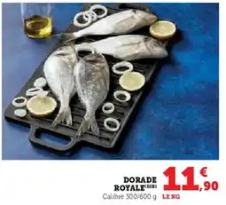 U Express Dorade royale offre