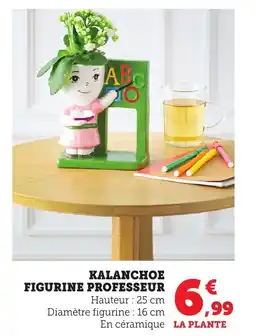 Bi1 Kalanchoe figurine professeur offre