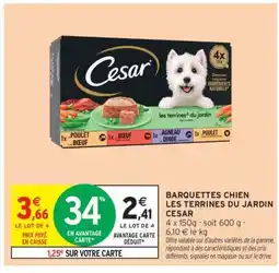 Intermarché BARQUETTES CHIEN LES TERRINES DU JARDIN CESAR offre