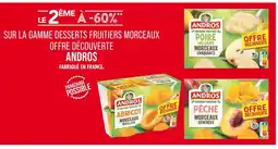 Match Andros Le 2ème à -60% sur la gamme desserts fruitiers morceaux offre découverte Andros offre