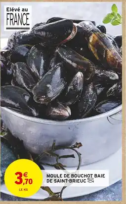 Intermarché Moule de bouchot baie de saint-brieuc offre