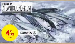 Intermarché Maquereau offre