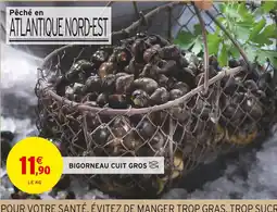 Intermarché Bigorneau cuit gros offre