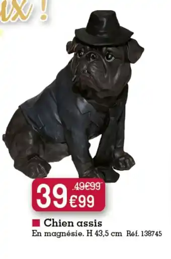 Kandy Chien assis offre