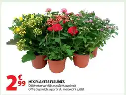 Auchan MIX PLANTES FLEURIES offre